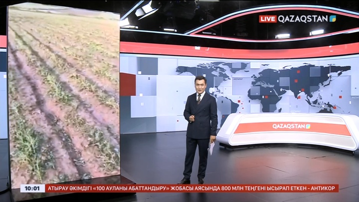 Қырғызстанда қатты жауған бұршақ 50 гектардан астам егінге зақым келтірді