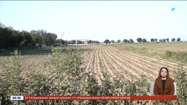 Жетісай ауданында индустриалды аймақ үшін шаруалардың жерін алмақ