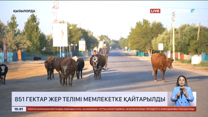 Қызылордада 851 гектар жер телімі мемлекетке қайтарылды