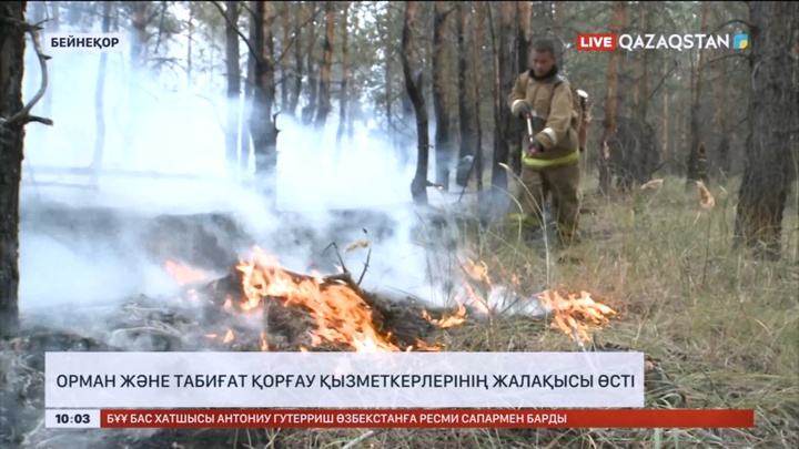 Елімізде орман және табиғат қорғау қызметкерлерінің жалақысы өсті