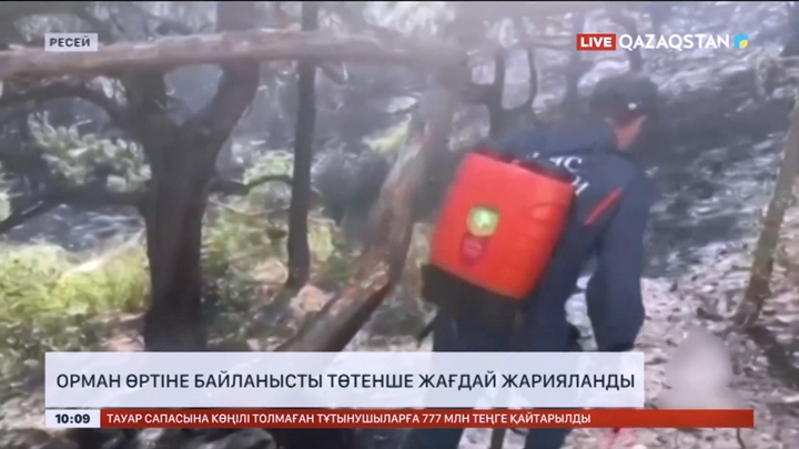 Ресейде орман өртіне байланысты төтенше жағдай жарияланды