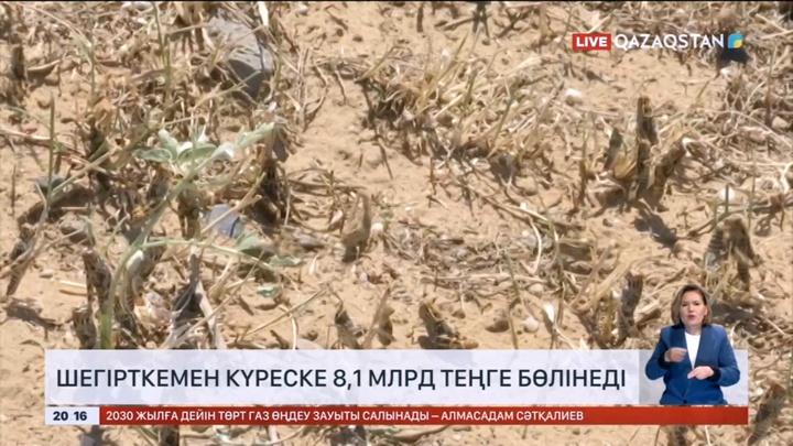Шегірткемен күреске 8,1 млрд теңге бөлінеді