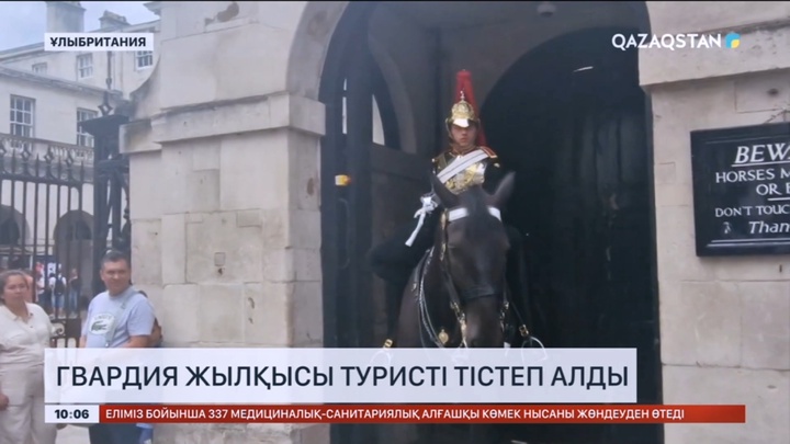 Лондонда гвардия жылқысы туристі тістеп алды
