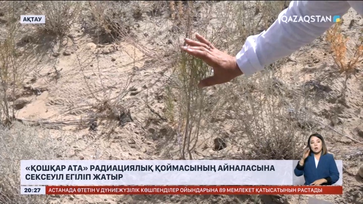 «Қошқар ата» радиациялық қоймасының айналасына сексеуіл егіліп жатыр