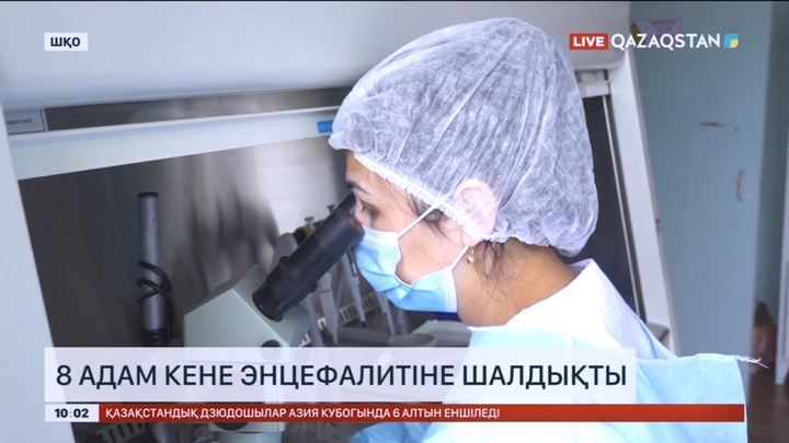 Шығыс Қазақстан облысында 8 адам кене энцефалитіне шалдықты