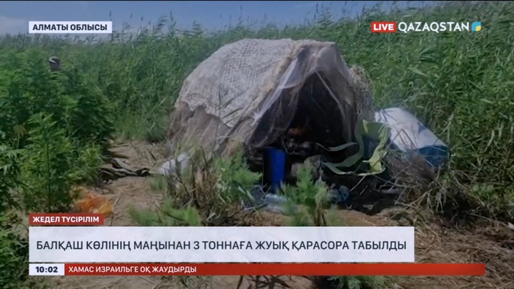 Балқаш көлінің маңынан 3 тоннаға жуық қарасора табылды