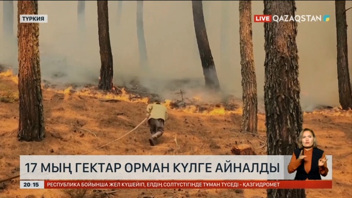 Түркияда 17 мың гектар орман күлге айналды
