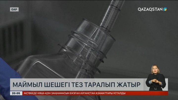 Африкада маймыл шешегі тез таралып жатыр