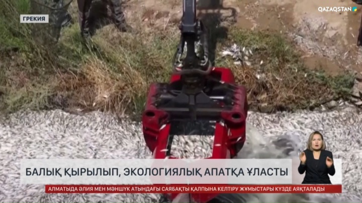 Грекияда балық қырылып, экологиялық апатқа қатысты төтенше жағдай жарияланды