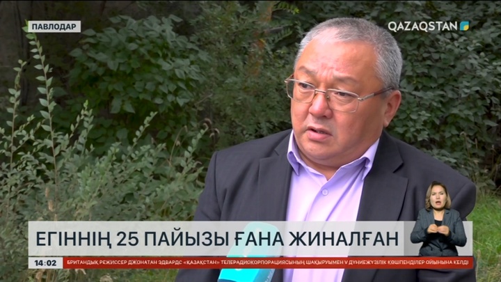 Павлодар облысында астықтың 25 пайызы ғана орылды