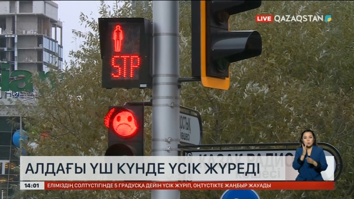 Елімізде алдағы күндері үсік жүреді