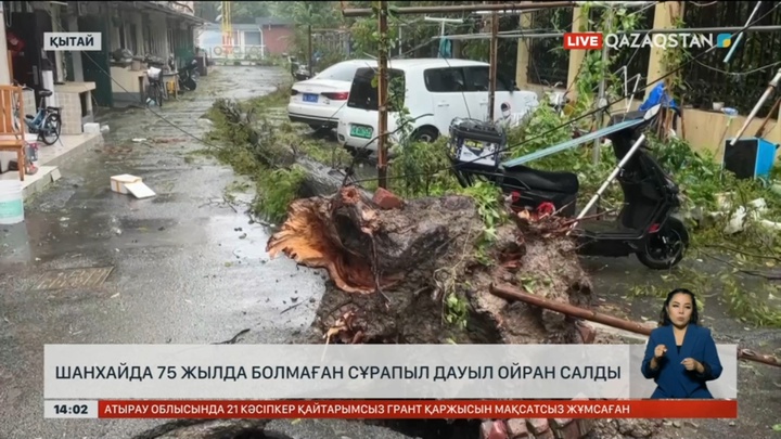 Қытайдың Шанхай қаласында «Бебинка» атты дүлей дауыл көтерілді