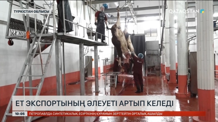 Түркістан облысы Тәжікстанға ет экспорттауды бастады