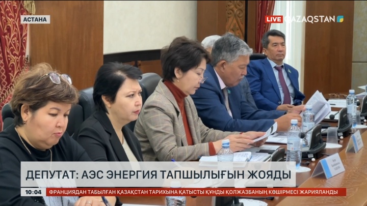 Депутат: АЭС энергия тапшылығын жояды