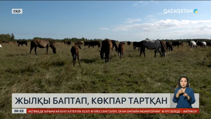 Солтүстікте тұратын Нұрлан Зағыпар жылқы бағудың қыр-сырымен бөлісті