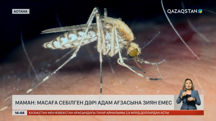 Астанада масаға шағымданғандар қатары көбейді