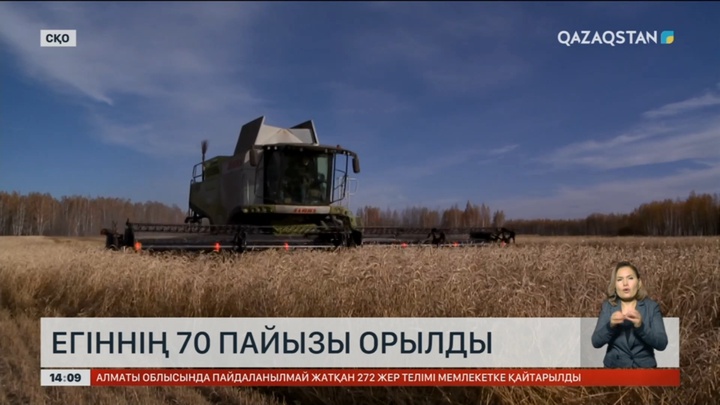 Солтүстік Қазақстан облысында егіннің 70% орылды