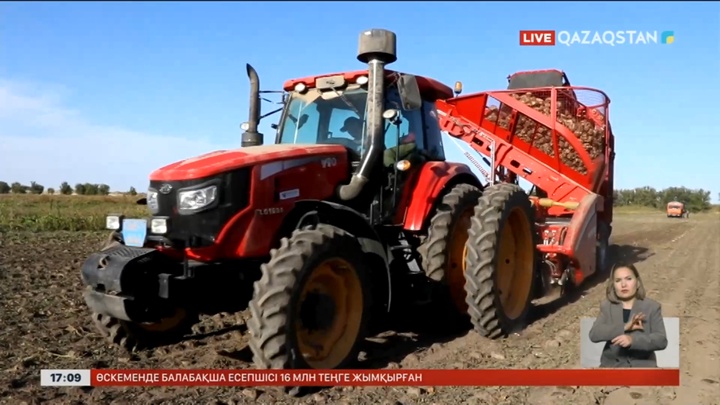 Жетісуде қызылша жинау науқаны басталды