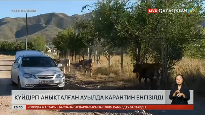 Күйдіргі анықталған Үлкен Ақсу ауылында карантин енгізілді