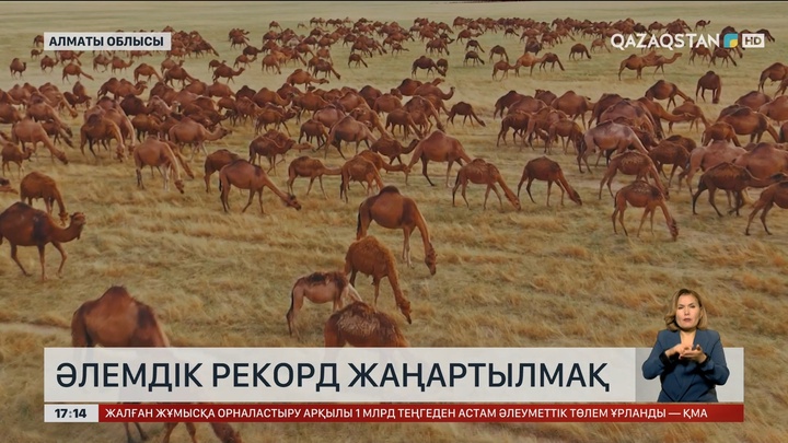 Әлемдік рекорд жаңартылмақ