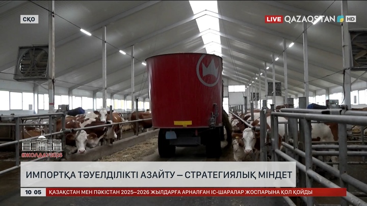  Импортқа тәуелділікті азайту – стратегиялық міндет