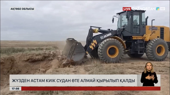 Ақтөбе облысында жүзден аса киік қырылып қалған