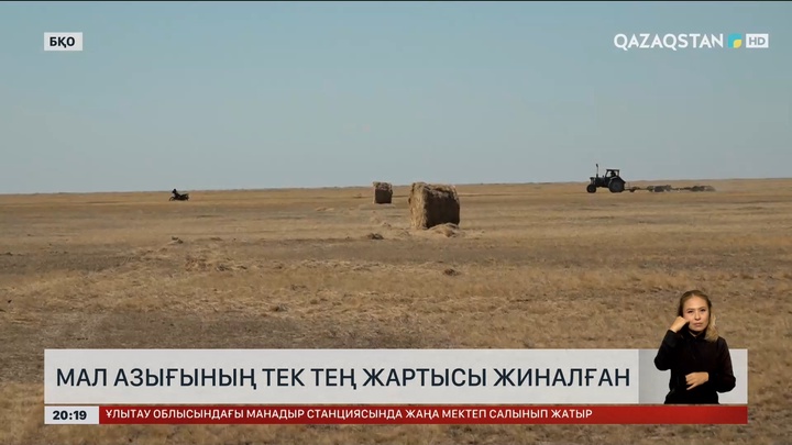 БҚО-да мал азығының тек тең жартысы жиналған