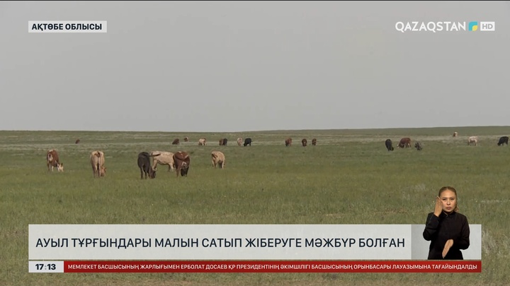 Ақтөбе облысында жайылым жерге талас көбейді