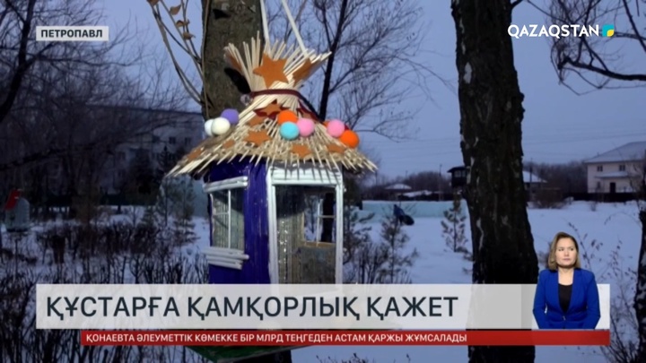 Құстарға қамқорлық қажет