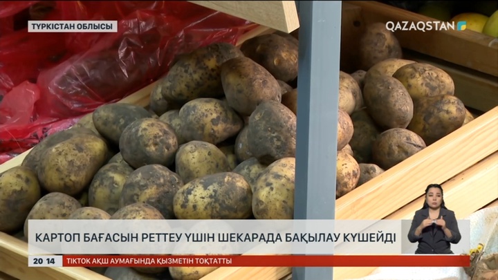 Картоп бағасын реттеу үшін шекарада бақылау күшейді