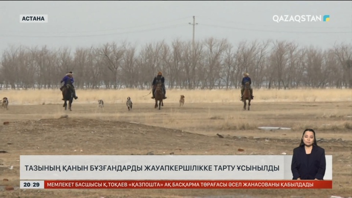 Тазының қанын бұзғандарды жауапкершілікке тарту ұсынылды