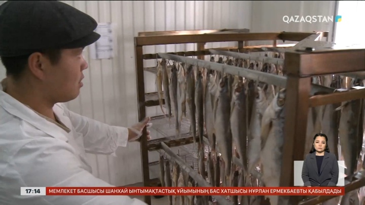 Атырауда тауарлы балық шығаратын 13 шаруашылық ашылады