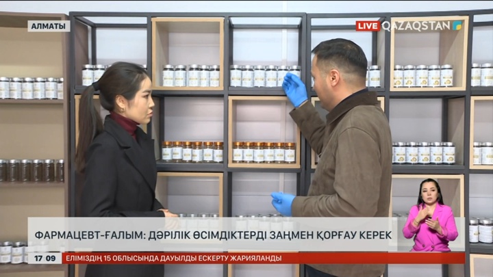 Қазақ даласында дәрілік шөптің 700-ден аса түрі кездеседі