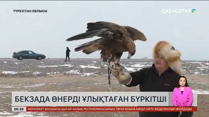 Түркістандық құсбегі атадан қалған асыл өнерді бүгінде  жастарға үйретіп жүр