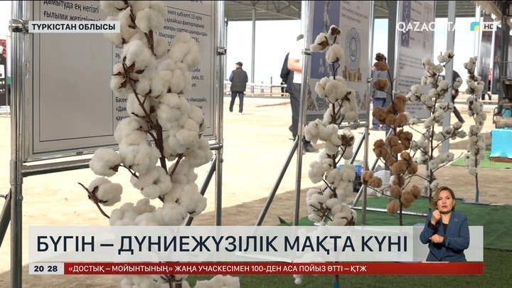 Бүгін – Дүниежүзілік мақта күні