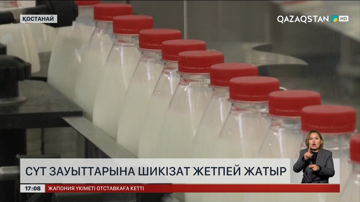 Cүт зауыттарына шикізат жетпей жатыр