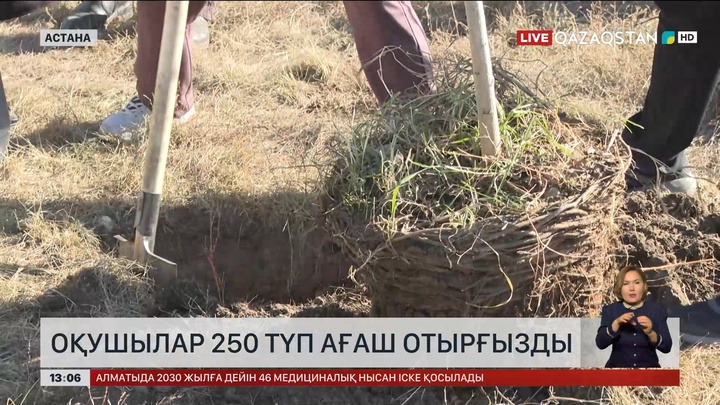 Астанада мектеп оқушылары 250 түп ағаш екті