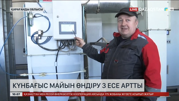 Қарағанды облысында күнбағыс майын өндіру үш есеге артты