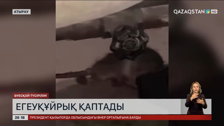 Атырауда егеуқұйрық қаптады