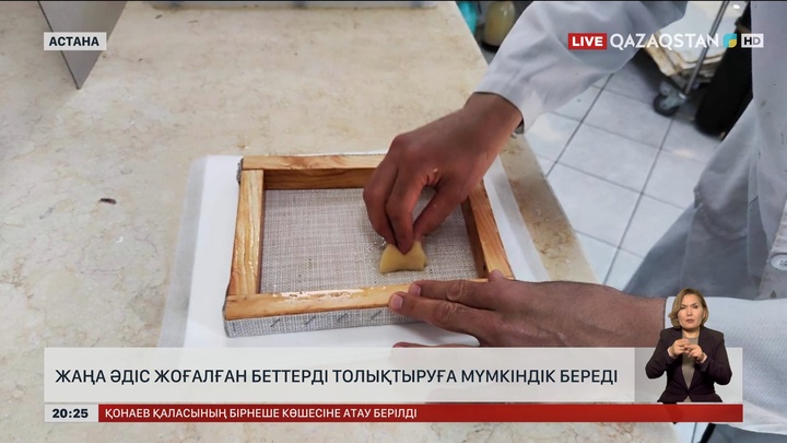  Жаңа әдіс жоғалған беттерді толықтыруға мүмкіндік береді  