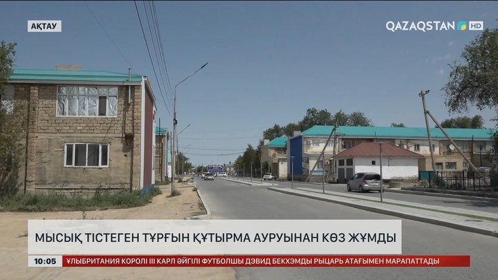 Маңғыстауда мысық тістеген тұрғын құтырма ауруынан көз жұмды  