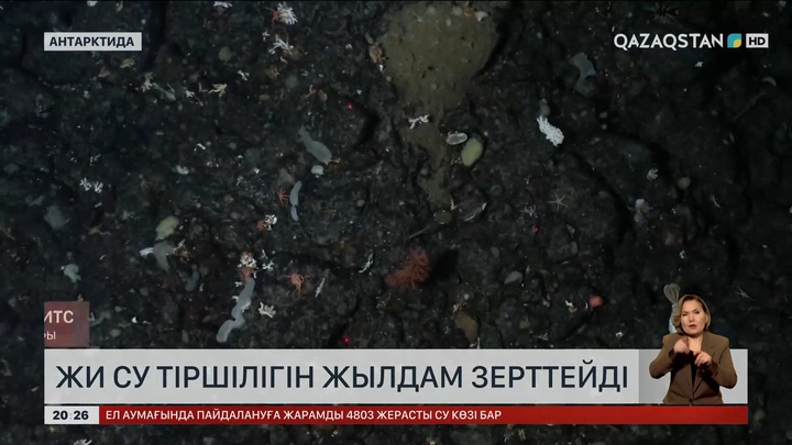  ЖИ су тіршілігін жылдам зерттейді