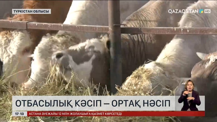 «Ауыл аманаты» бағдарламасымен жеңілдетілген несие алғандар жылыжай салып, тұрақты табыс табуда