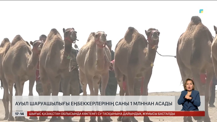 Ауыл шаруашылығы еңбеккерлерінің саны 1 млн-нан асады