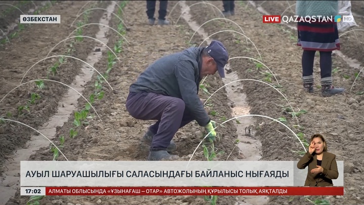 Қазақстан мен Өзбекстан ауыл шаруашылығын бірлесе нығайтады