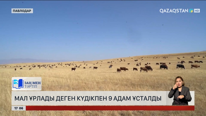 Павлодар облысында кәнігі ұрылар ұсталды