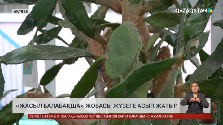 Ақтөбеде «Жасыл балабақша» жобасы жүзеге асырылуда