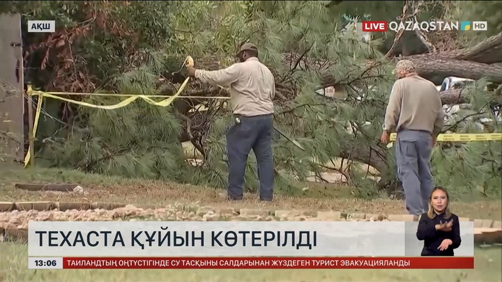 АҚШ-та торнадо ағаштарды тамырымен жұлып әкетті