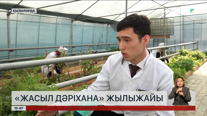 Қызылорда колледжі жасыл дәріхана жобасын қолға алды