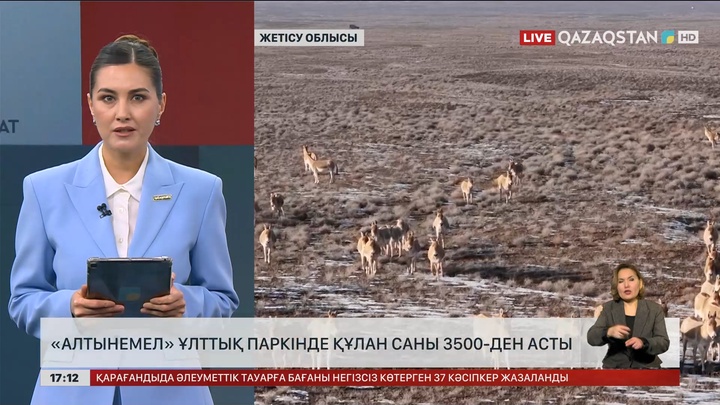 «Алтын-Емел» ұлттық паркіндегі құландар 3,5 мыңнан асты